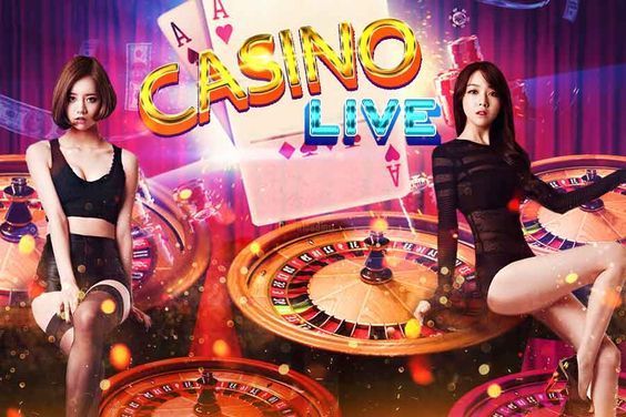 Dolphins Betting Live Casino