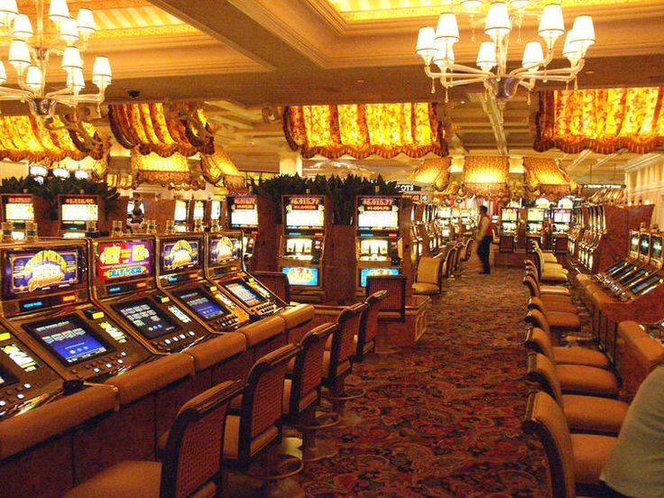 Dolphins Betting Live Casino