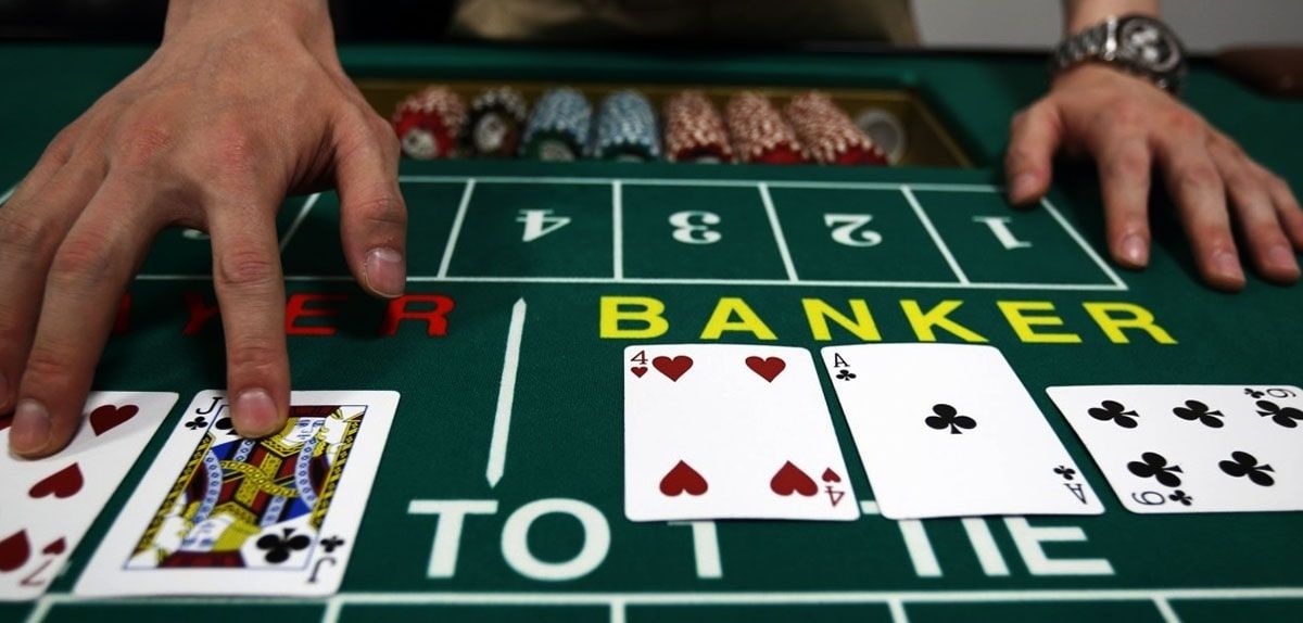 Dolphins Betting Live Casino